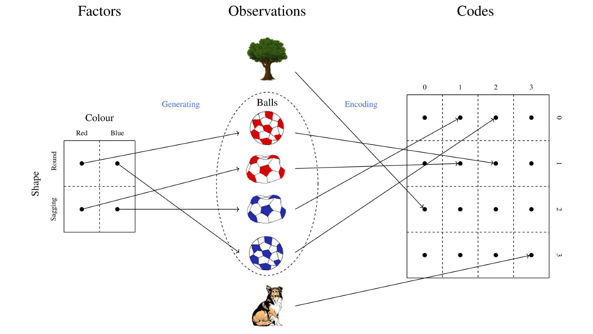 Disentangled representations for causal cognition